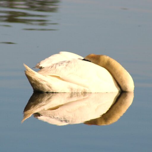 Liebster Award &ndash; Wine to Water Avatar